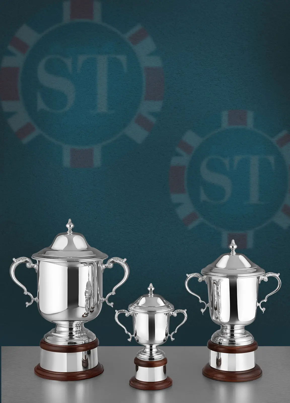 Silver Plated League Champions Cup & Lid - SilverTrophy