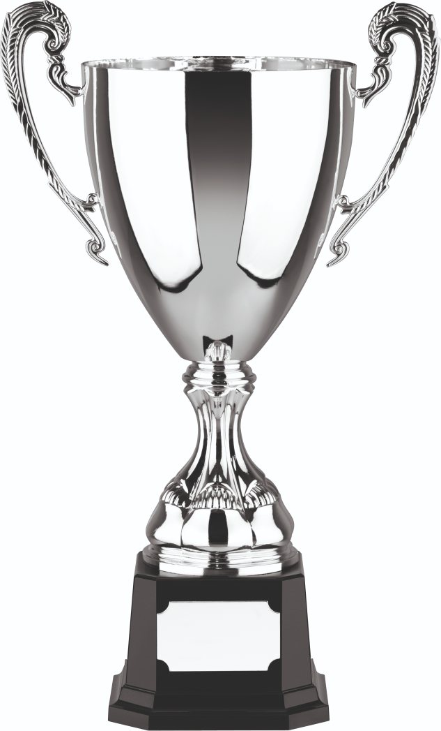 Tall Euro Trophy Cup Award - SilverTrophy