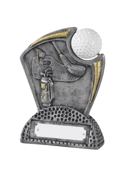 Silver golf award