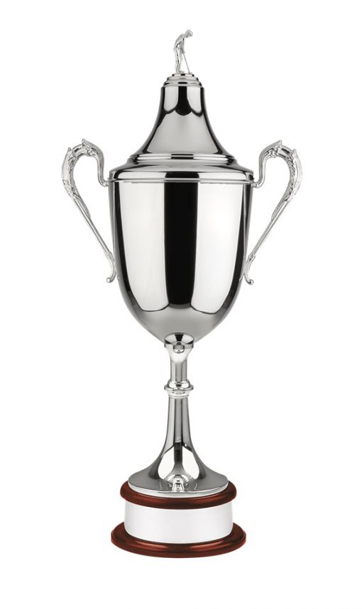 Colossal Golf Trophy Award