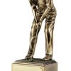 The Champion Golfer Award