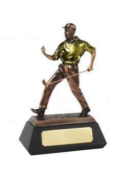 The match winner golfer award