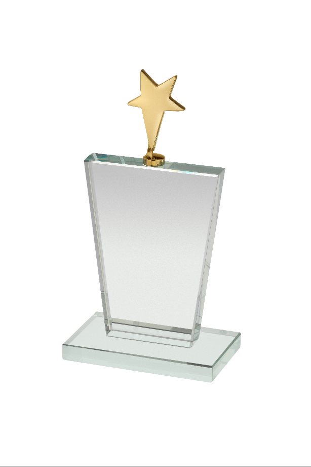 Mini Star LASER ENGRAVED Trophy Plate