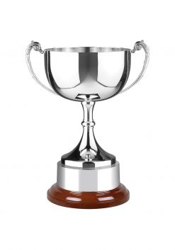 C9 Quality Sport Nickel Plated Swatkins Endurance Cup Trophy *FREE ENGRAVING* 