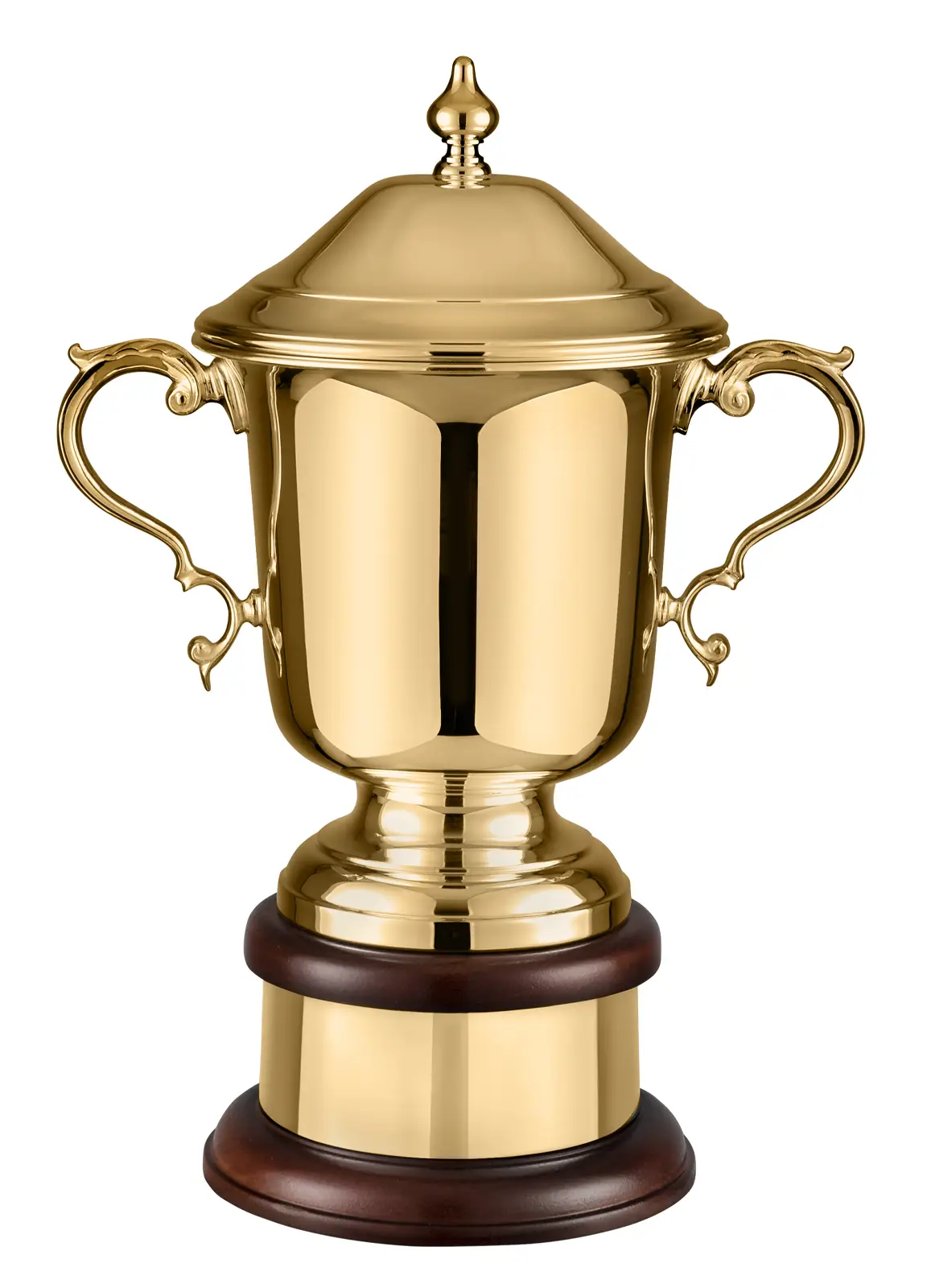 Gold Plated League Champions Cup - SilverTrophy