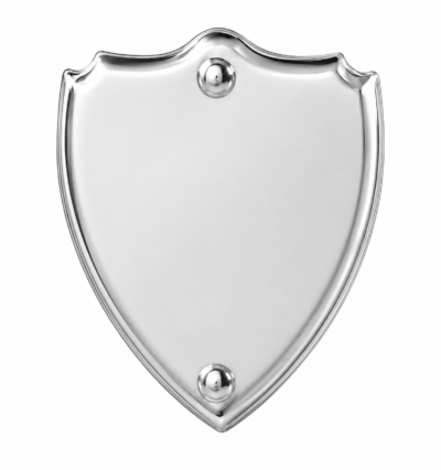 Scalloped Perpetual Side Shield