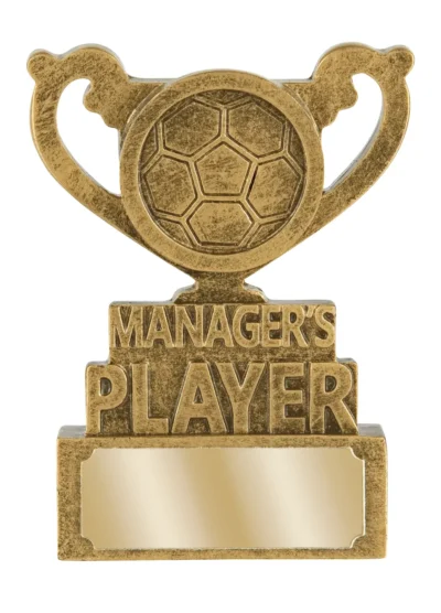 Manager's Player Mini Cup Trophy