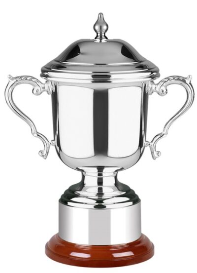 The Wentworth Silver Plated Cup & Lid